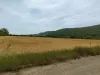 Building land For Sale - 9000 Поморие BG Thumbnail 2